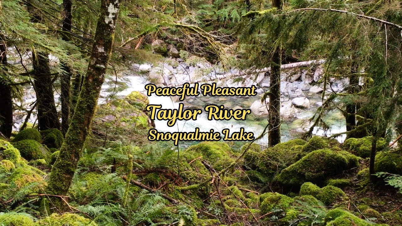 Peaceful Pleasant | Taylor River - Snoqualmie Lake Trail | North Bend, WA