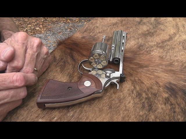 Colt 2020 Python 5-inch  .357 Magnum class=