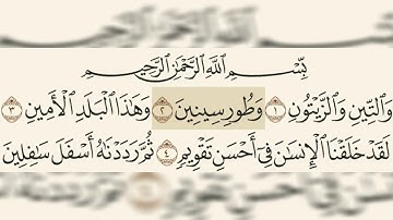 سورة التين  رعد الكردي