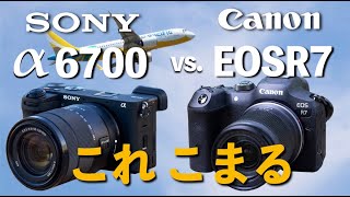 【α6700vsEOSR7】SONYとCanonの新型APSCカメラの性能やコスパ比較動画です。それぞれの特徴や機能も紹介します。