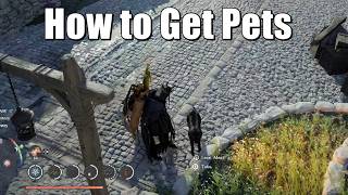 Crimson Desert - How to Get Pets