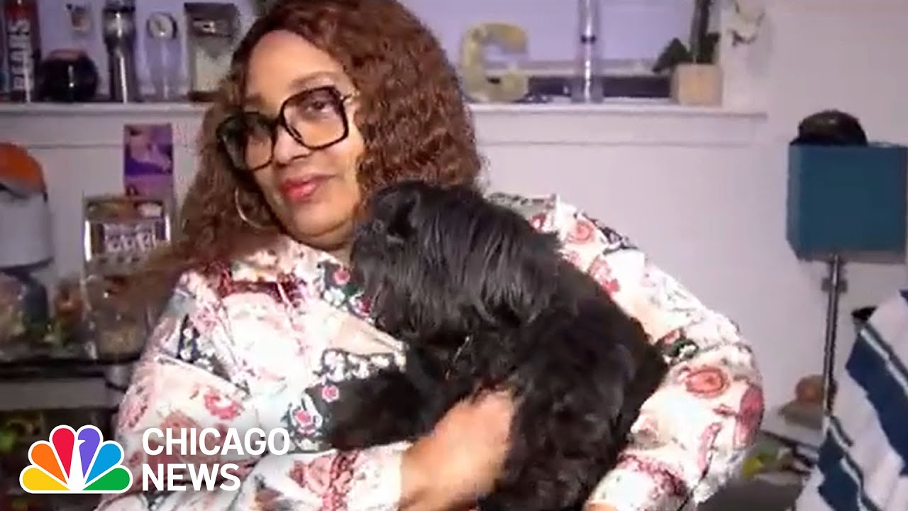 Woman REUNITED with her lost dog 2 YEARS after she went missing in ...