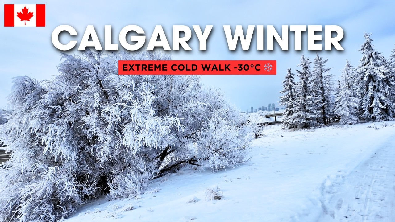 Calgary Winter Walk ❄️ Snowy Trees & Freezing Cold | Canada 4K UHD 🇨🇦