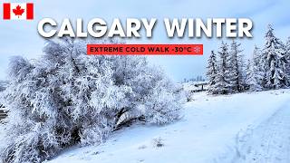 Calgary Winter Walk ❄️ Snowy Trees &amp; Freezing Cold | Canada 4K UHD 🇨🇦