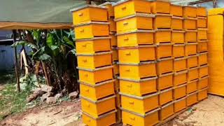 Information This New Beehive Design Could Change Everything! (Keeper's Hive) 1000 incoming hives. News