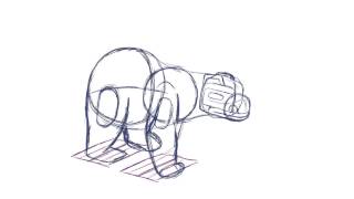 bear walk test