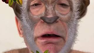 Le Monke