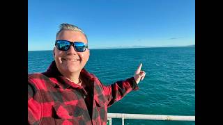 Picton to Wellington Buying Trip!
