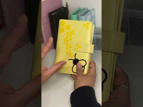 Revolving budget binder
