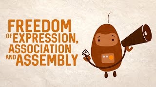 Freedom of expression, association and assembly