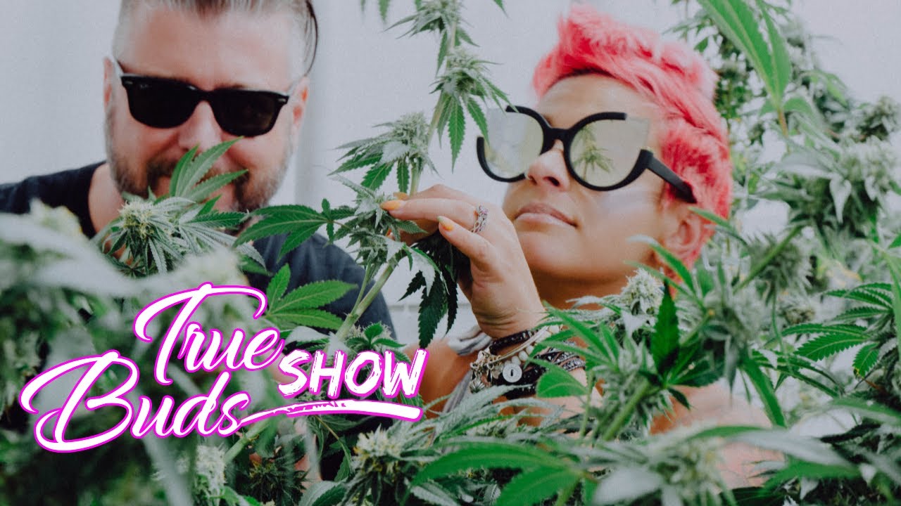 The Cool Nerd Weed Show, Color Remediation: True Buds Show Clips