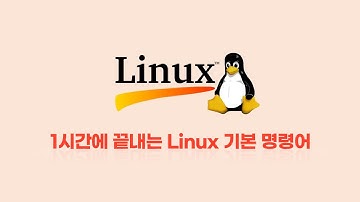 1시간에 끝내는 Linux 기본 명령어 - Chapter3 리눅스 명령어 구조