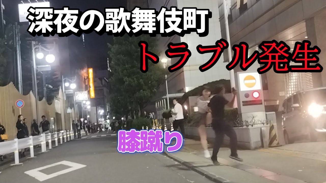 深夜の大久保公園で立ちんぼが、、【カメラが捉えた事件発生から逃亡まで】