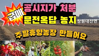 공시지가로 급매하는  창원대산 들판 문전옥답 #전원생활 #주말농장 #창원대산 #싼농지#농업인 #농지연금