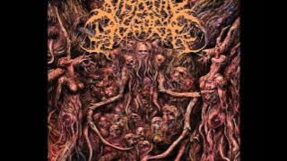 » Visceral Disgorge - Necrocoprophagia