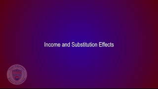 Microeconomics Theory I - Lecture 21 (ECON - 203)