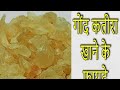 गोंद कतीरा खरीदें 🌎 ताजा और उच्च गुणवत्ता
