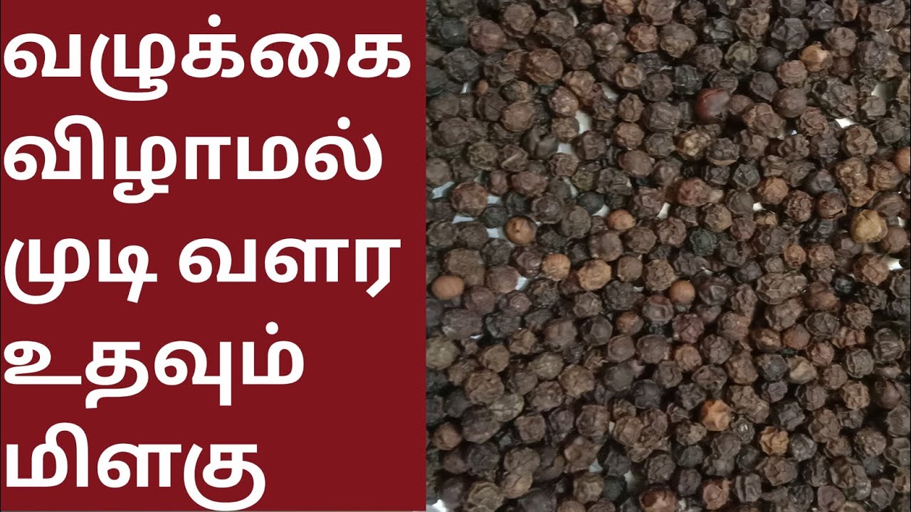 Hair growth tips in tamil/Hair fall tips in tamil YouTube