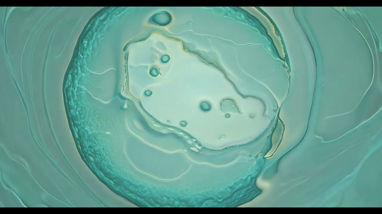 Argo Vals - Barokk feat. Kitty Florentine [music video]