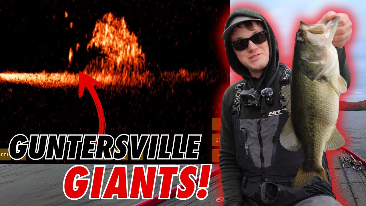 My First Time Fishing Lake Guntersville!(Livescope Recording)
