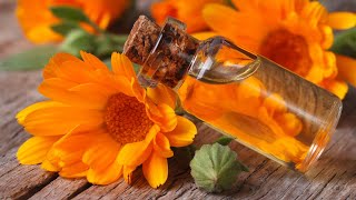 HOW TO MAKE THE BEST CHAMOMILE & CALENDULA OIL | HARVEST TO KITCHEN | SDA COUNTRY LIVING