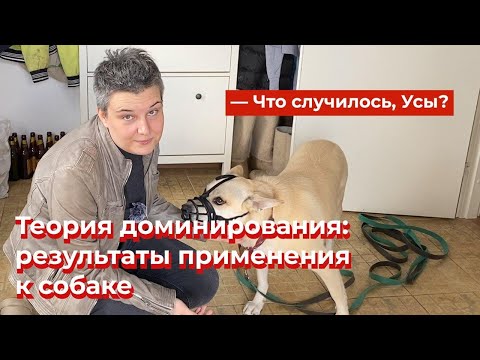 Что случилось, Усы? Теория доминирования