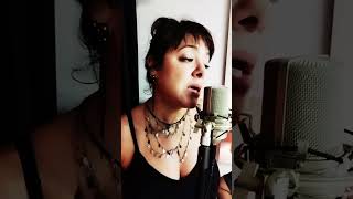 Menino Bonito - Rita Lee #cantora #mpb #music #musicabrasileira #singer #worldmusic #musica