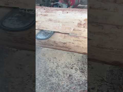 Fächerschnitt: einfach und