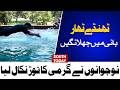 Multan Heatwave: Youth Rush to Pools and Tube Wells for Relief from Extreme Heat