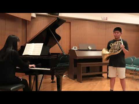 W.A.Mozart :Horn Concerto No.1 in D major ,K412 1mov