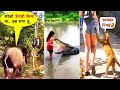 जानवरों के ऐसे नज़ारे आपने इससे पहले नहीं देखे होंगे | Animal Moment Part -117