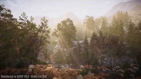 Unity (HDRP) - Valley Forest