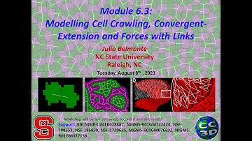 CC3D WS Module 6.3 Combining Links and Compartments [Julio Belmonte] August 8 2023