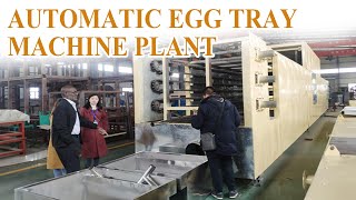 Fully Automatic Egg Tray Machine Plant | High-Speed Production Line #egg #eggtray #paper #recycle