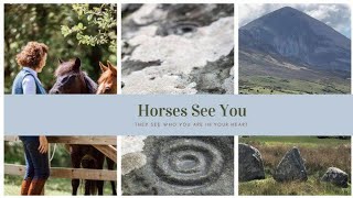 Horses See You