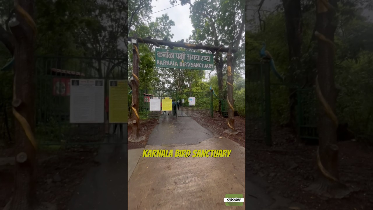 Karnala Bird Sanctuary Guide/ Karnala Fort #trekking #fort #nearmumbai
