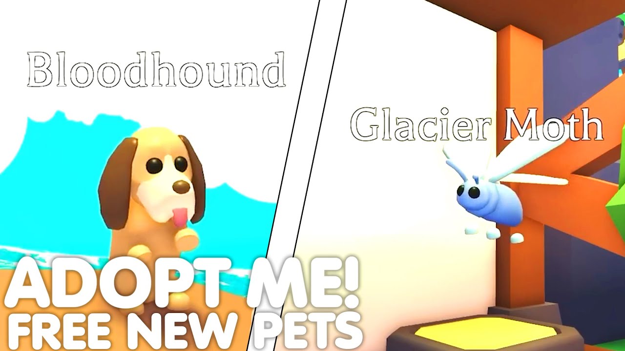 ⭐👀*NEW* FREE PETS IN STAR REWARDS UPDATE! 😱 NEW PETS AND TOYS! (HUGE  UPDATE!) ADOPT ME ROBLOX 