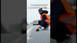 Ёжик свернулся на трассе — машины мчались мимо 😱🦔