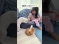 猫飼い始めました😊しかも2匹w #3歳児と2匹のネコ #猫 #ネコ #ねこ #3歳女の子 #3歳児 #ゆゆたん