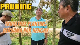 PRUNING kawasan  triple tree planting bersama masternya pak hengky