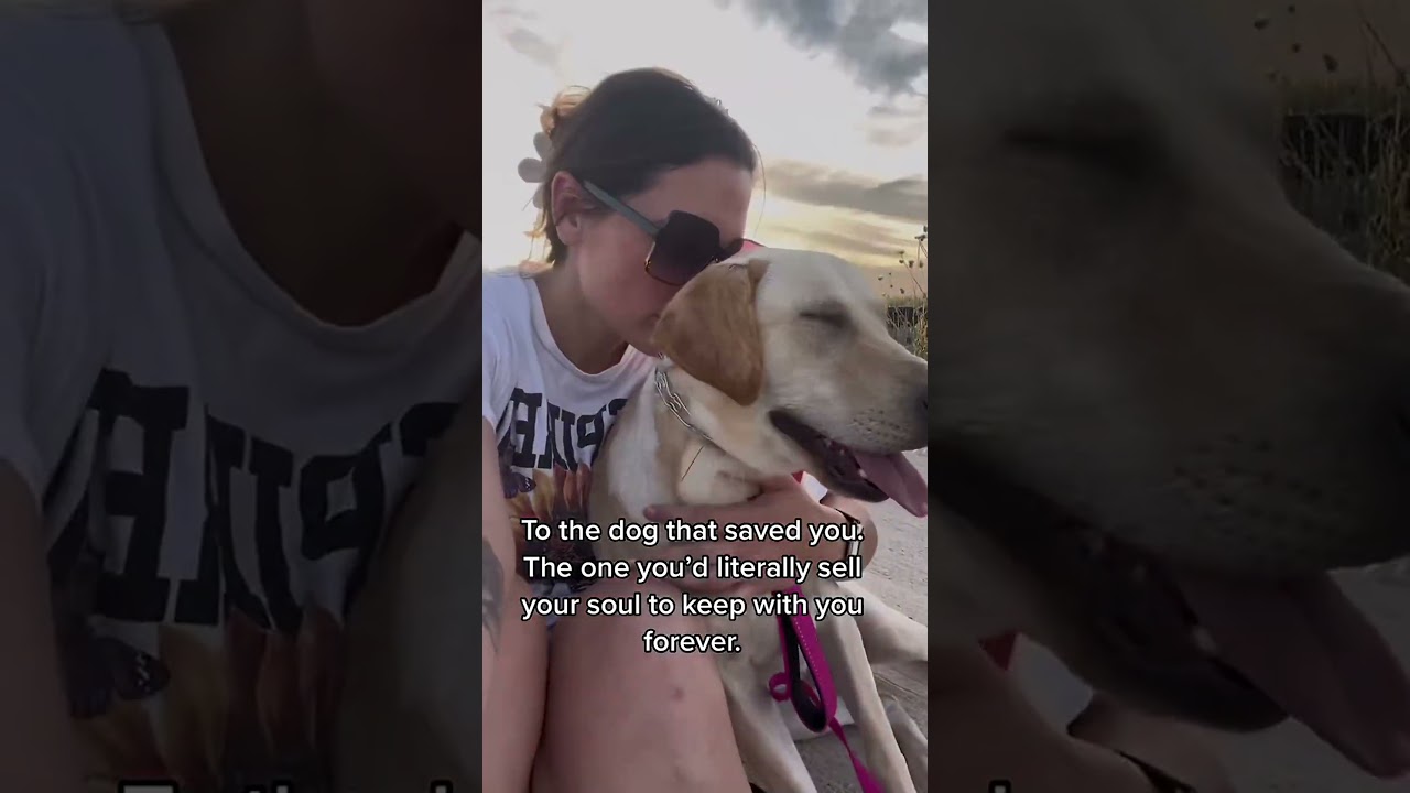 Soulful Bond with My Dog