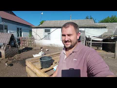 расклёв у птицы как УСТРАНИТЬ?? как НЕ ДОПУСТИТЬ??