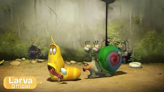 chick animation compilation larva tuba official