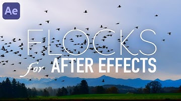 Flocks - After Effects (Animate Realistic Flying Birds)