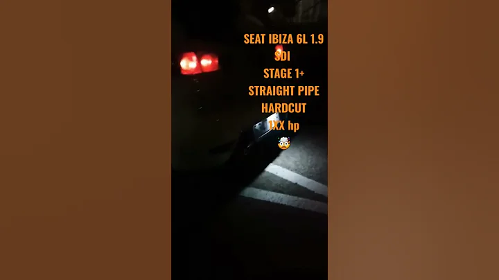 COLD START SEAT IBIZA 6L 1.9 SDI STRAIGHT PIPE + HARDCUT + STAGE 1+ 1XX hp