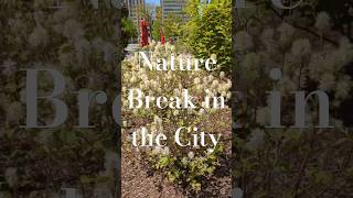 Lunch Breaks Are For And