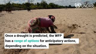 WFP anticipatory action in southern Africa