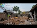 Refusing the salary of $5000 , he returned his hometown to renovate the old house and grow rice