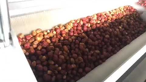 Dates brush polish machine/ Dates washing cleaning machine