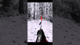 Epic Deer Hunting Adventure With One Perfect Shot Today#DeerHunting #HuntingVideo #WildAdventure